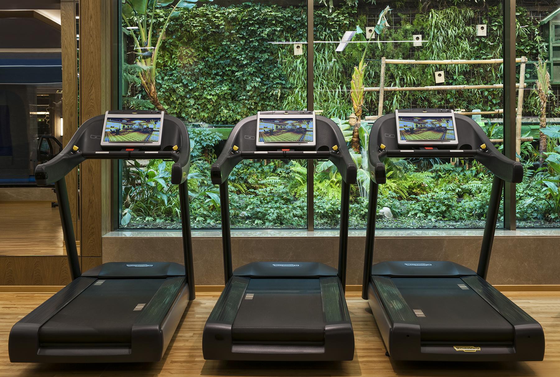 エリート ワールド ヨーロッパ ホテル イスタンブール エクステリア 写真 Treadmills with screens